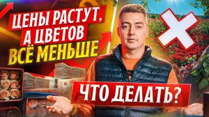 Красные розы в дефиците! Что делать? | Плантация Khad | Эквадор | Цветы оптом