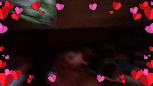 Вот смотреть онлайн