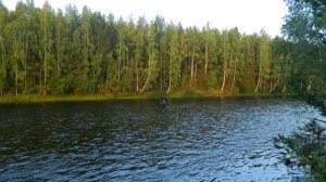 🔴Перевал Дятлова. Беседа о Перевале🔴