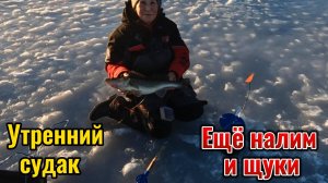 Глухозимье откладывается. Жерлицы работают. Лунки тоже. Попался даже маленький налим.