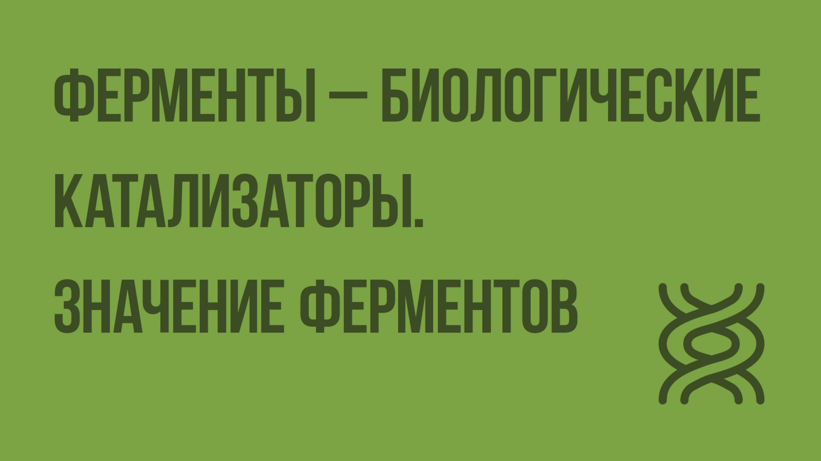 Ферменты – биологические катализаторы. Значение ферментов. Видеоурок по биологии 10 класс