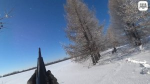 Beretta Bellmonte I Mk2 стрельба по тарелочкам