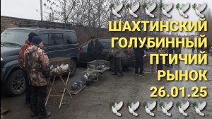 🕊🕊🕊 Шахтинский голубинный птичий рынок 26.01.25. Николаевские голуби. Pigeons.