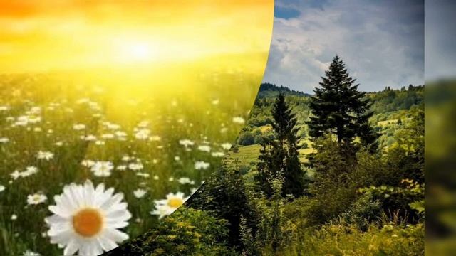 Пізнавальне заняття: "Моя країна - Україна💛💙"