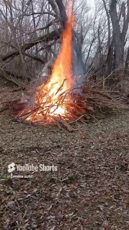 Можно вечно смотреть на огонь 🔥