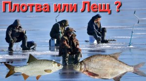 🔥Жырная ПЛОТВА и ЛЕЩИ🐠Рыбалка на льду Рузского Водохранилища!!! Январь-2025. Глухозимье 🙄