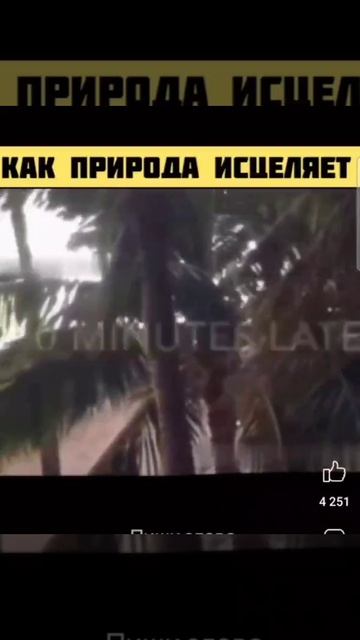 Природа исцеляет