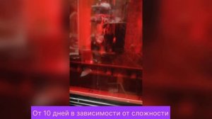 Как сделать свою БЖД куклу