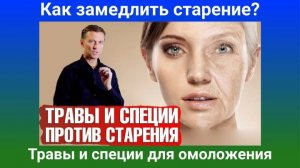 Доктор Берг. Как замедлить старение Травы и специи для омоложения