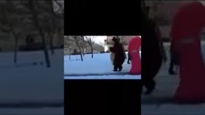 медведь танцует лезгинку