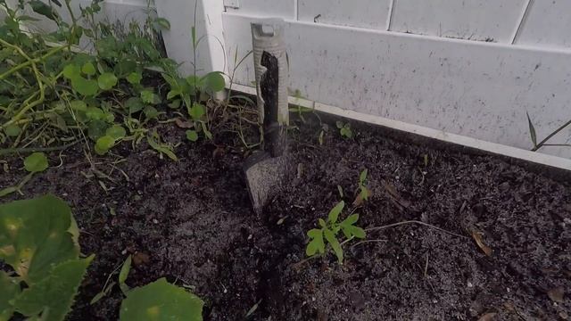 Какую воду  мы пьём  во Флориде!  What kind of water do we drink in Florida! смотреть онлайн