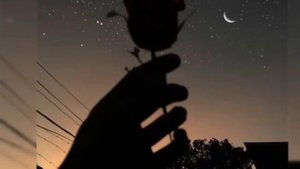 LIZER-Не Ангел^Фота под музыку^Музыка по душе...