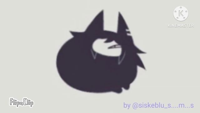 maxwell circle #maxwellcat#cat смотреть онлайн