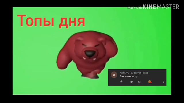 Медведь ниты танцует