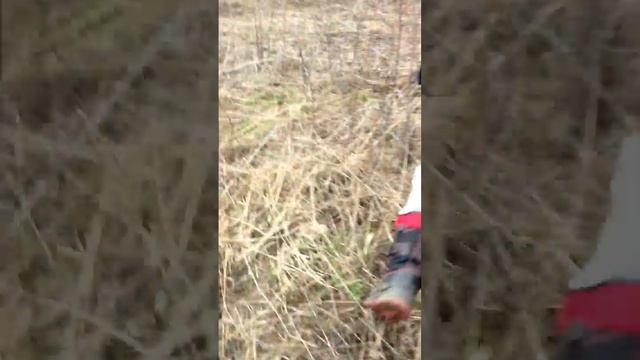 Измеряем радиацию смотреть онлайн