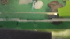 Messor structor Vs Lasius niger