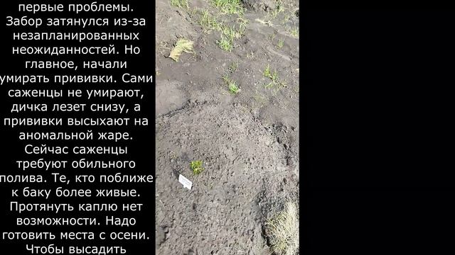 9 Первые проблемы