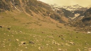 Пиренеи. Сантьяго-де-Компостела. (3 часть)