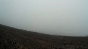 ОХОТА НА ЗАЙЦА.