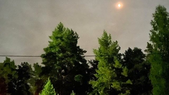 Мой дом у самого края леса смотреть онлайн