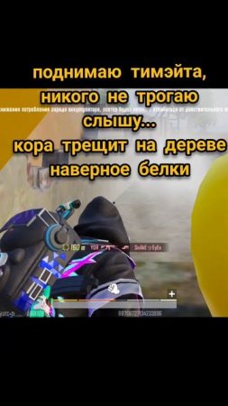 ВОЛКОБОЙ В ДЕЛЕ #pubgmobile #lissicin_e #pubg #пабг #lissicin_pupg #pubgm