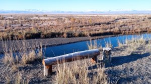 Алтай осень 2024. Чуйская степь.Кош-Агач