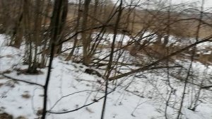 25.01.2025.Обзор с места  свалок в Ляховском лесу. Река Востец.Тюбинговая трасса Домодедово. Часть 5