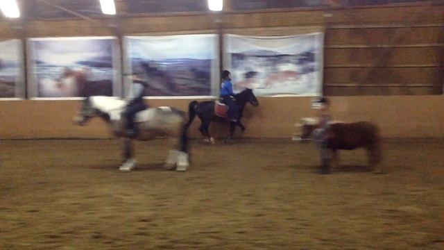 Костя Раскатов , Тренировочка по Коням - СДЮСШ " СОКОРОС " , 11.11.2015 г. смотреть онлайн