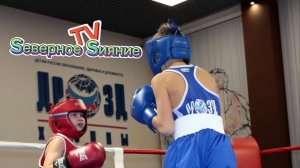 Бокс 21 декабря 2024