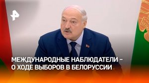 "Вопросов нет": международные избиратели оценили прозрачность выборов в Белоруссии