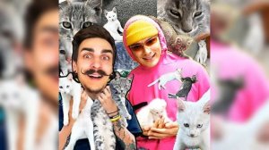 Holy Baam и Миха дзен - Песня про котят @HolyBaam @mikhazen