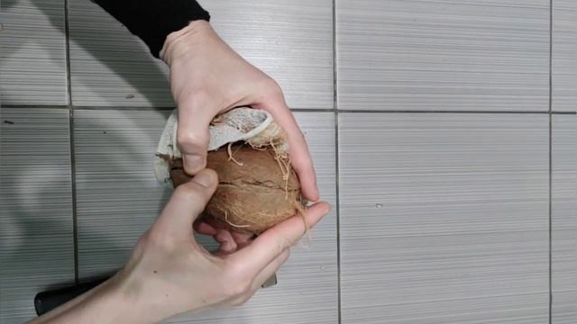 Как правильно разбить кокос? (How to properly break a coconut?) Як правильно розбити кокос?