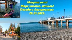 Мазута нет!  Море чистое, штиль!  Погода в Лазаревском 26.01.2025.