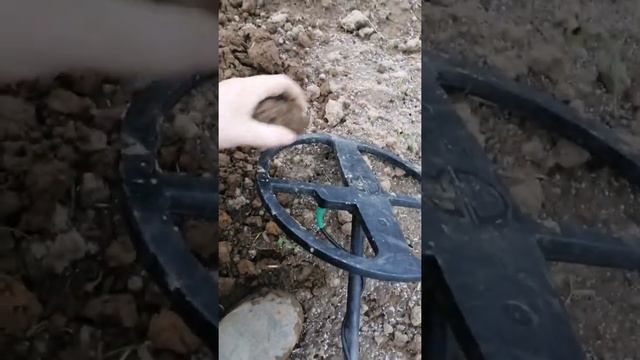 2-х часовая результативная прогулка камрад монеты questx5