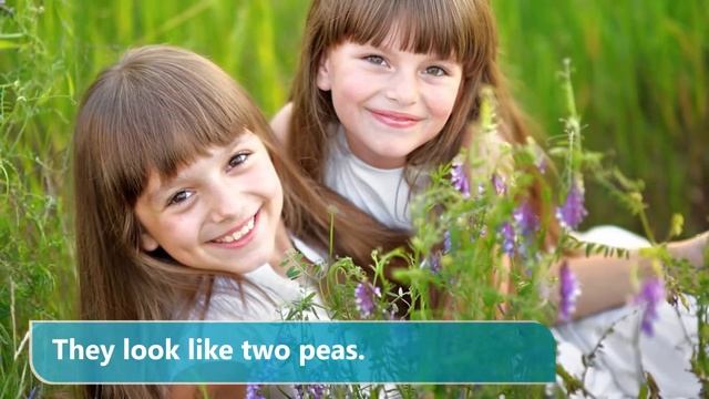 ukr t19 11 pea смотреть онлайн