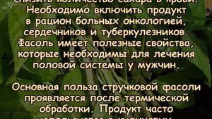 СТРУЧКОВАЯ ФАСОЛЬ  Какая польза для здоровья/Здоровье/Стройность/Похудение