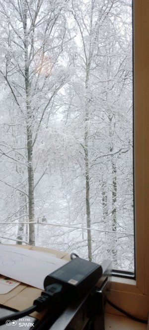 рассказ
