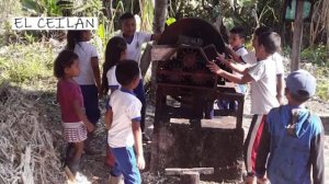 EL CAMPO, UN TESERO DEL SABER I E R  HORIZONTE CURILLO