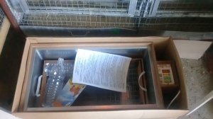 Покупка инкубатор блиц 72