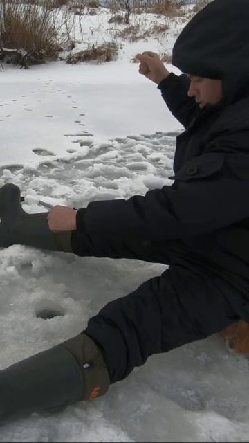 #зимняярыбалка #деревенские #марийэл #2022 #хочуврекомендации смотреть онлайн