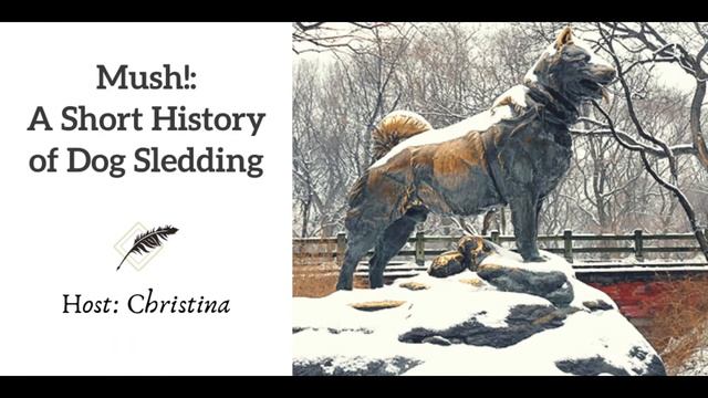 Ep 99 Mush! A Short History of Dog Sledding смотреть онлайн