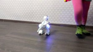 София и Даник играют РОБОТ 🤖 Динозавр 🦖 Sofia kidsss