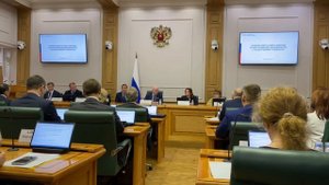 Выступление Ирины Подносовой на заседании Комитета Совета Федерации от 16 апреля 2024г.