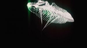 Sigur Rós - Skel (Official Video)