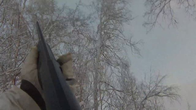 Охота на тетерева на чучела. смотреть онлайн