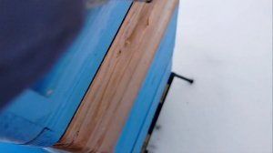 1000006179.mp4Пасека.24 января 2025 года.Зимовка продолжается.