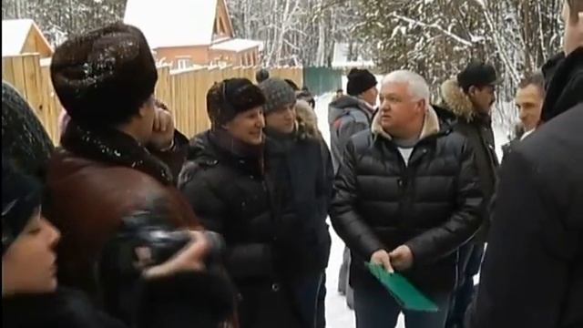 Десятки тысяч деревьев в районе "Столбов" хотят вырубить под коттеджи