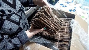 Планы меняются.