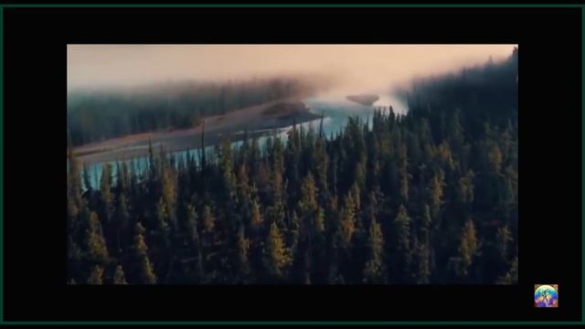 Мудрая музыка и природные фракталы. Исцеление