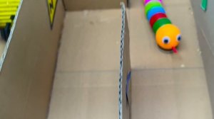 🐹😱 COVID 19 Hamster Fighting Traps Piranha Fish 🐹 Obstacle Course in Hamster Stories